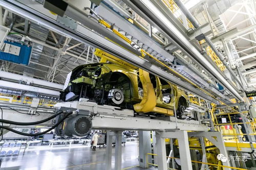 冠軍家族的榮耀 領克03銷量正式破萬，彰顯市場信心