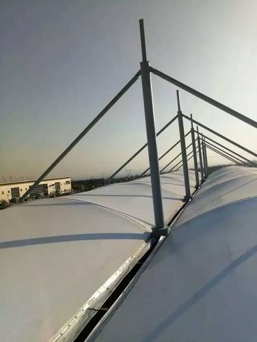 傘形張拉膜棚定做 公園膜結構傘篷定制 休閑景觀膜傘設計